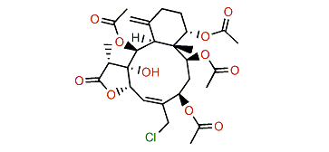 Fragilolide K